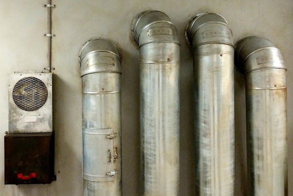 The Cells